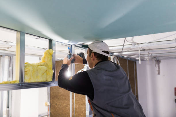 Best Cellulose Insulation in Old Jefferson, LA